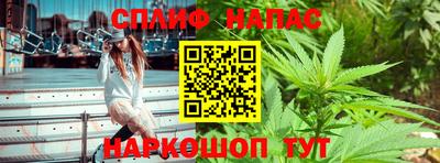 сатива Кулебаки